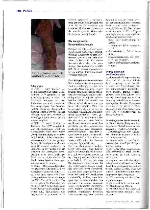 Vorschauseite 3: Unter Druck zum Erfolg