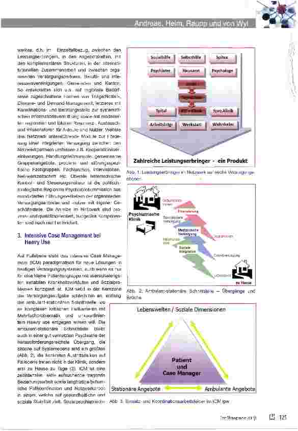 Vorschauseite 2: Intensive Case Management ipw1