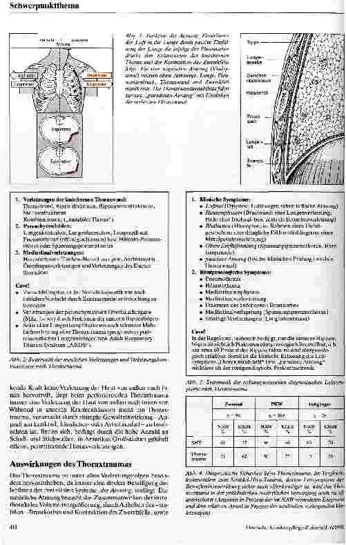 Vorschauseite 2: Behandlungsstrategien bei Thoraxtrauma