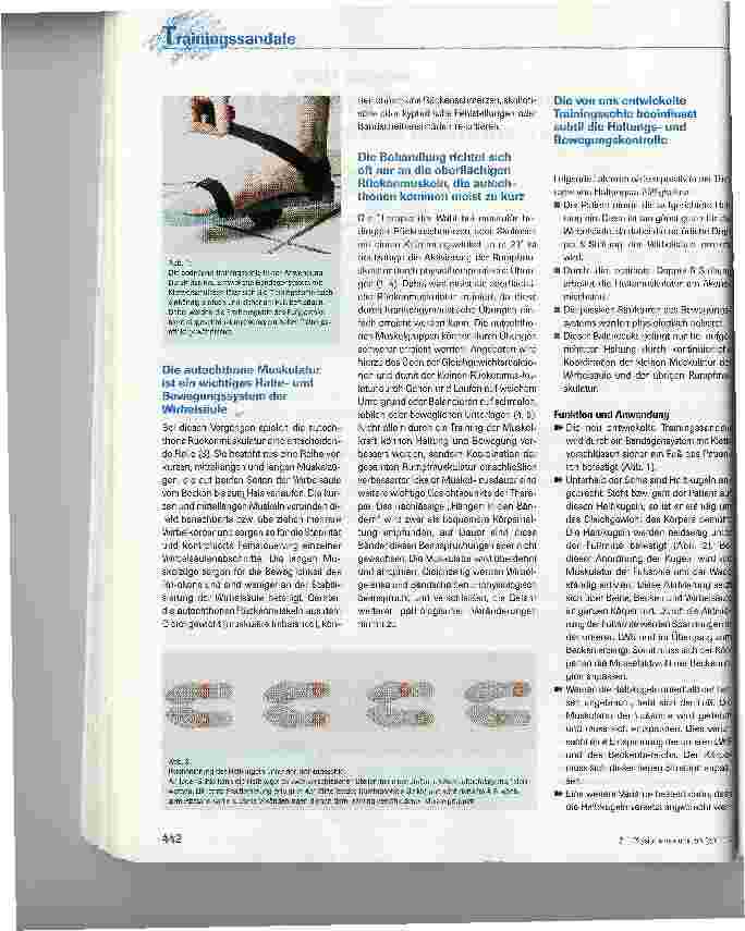 Vorschauseite 3: Entwicklung einer Trainingssandalezur Behandlung von Haltungsschäden