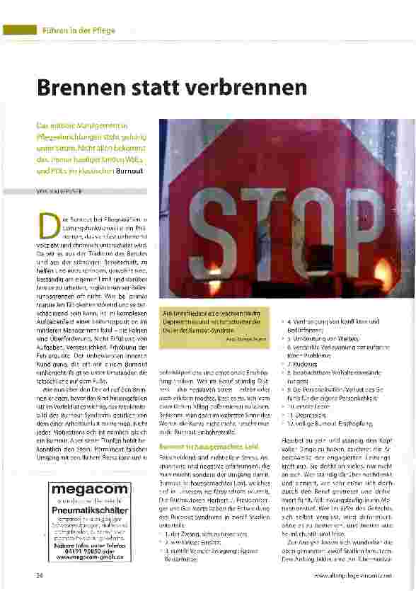 Vorschauseite 1: Brennen statt verbrennen