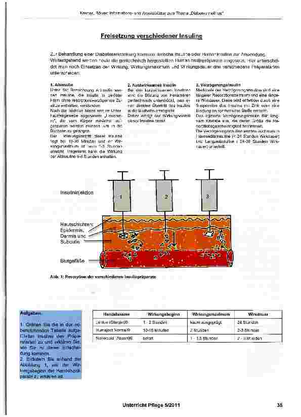 Vorschauseite 3: Informationsund Arbeitsblätter zum Thema „Pharmakologie bei Diabetes mellitus