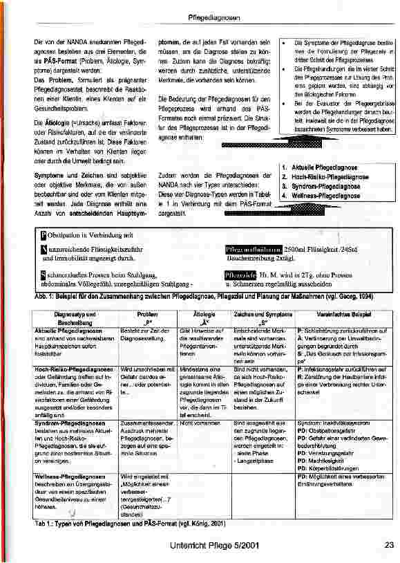 Vorschauseite 2: Pflegediagnosen