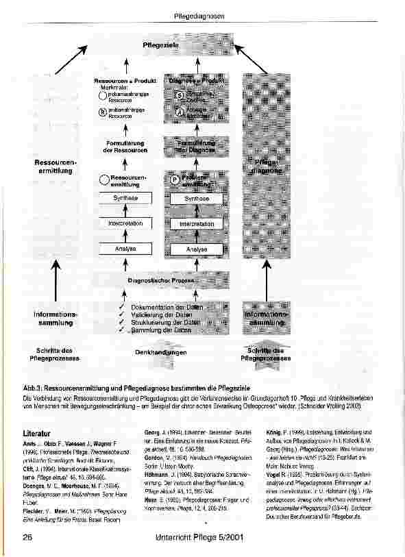 Vorschauseite 5: Pflegediagnosen