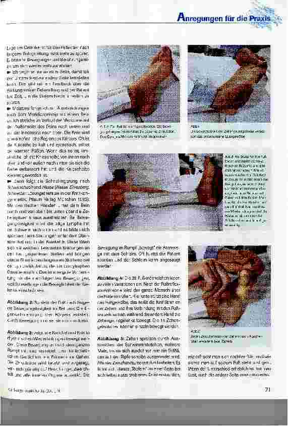 Vorschauseite 3: Das Neue Denkmodell einer Integrativen Physiotherapie übertragen auf die Behandlung von Patienten auf einer Intensivstation