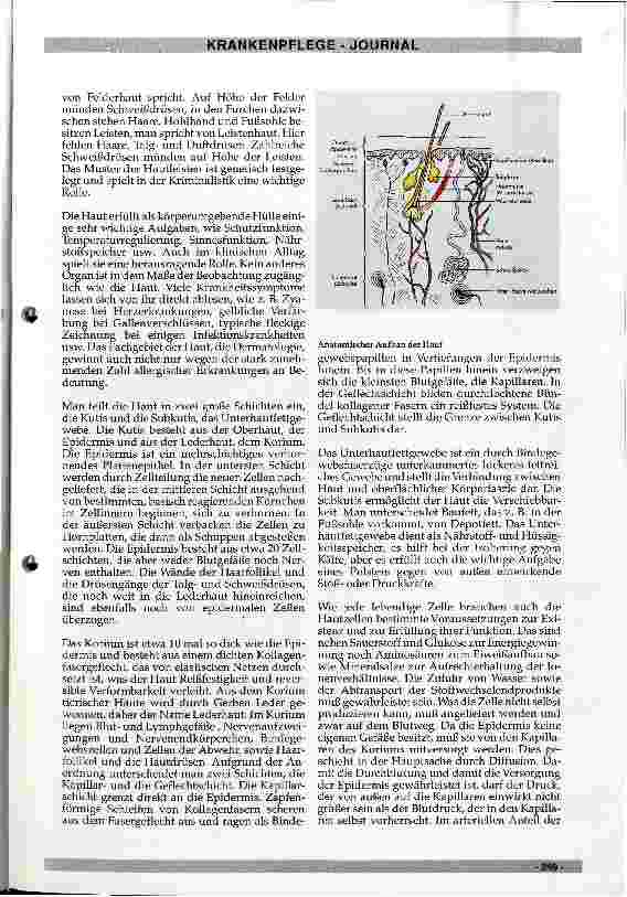 Vorschauseite 2: Dekubitus - ein pflegerisches Problem?