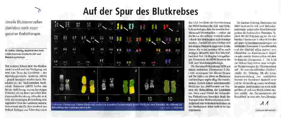 Vorschauseite 1: Auf der Spur des Blutkrebses