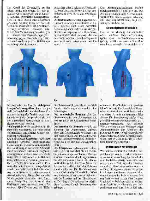 Vorschauseite 2: Grundsätze der Lungenchirurgie