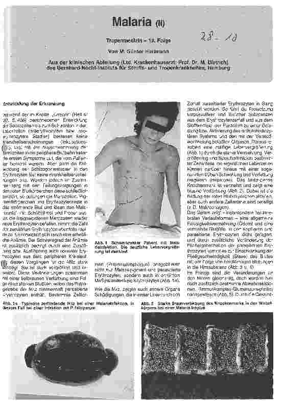 Vorschauseite 1: Malaria