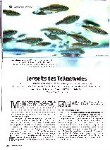 Vorschauseite 1: Jenseits des Tellerrandes