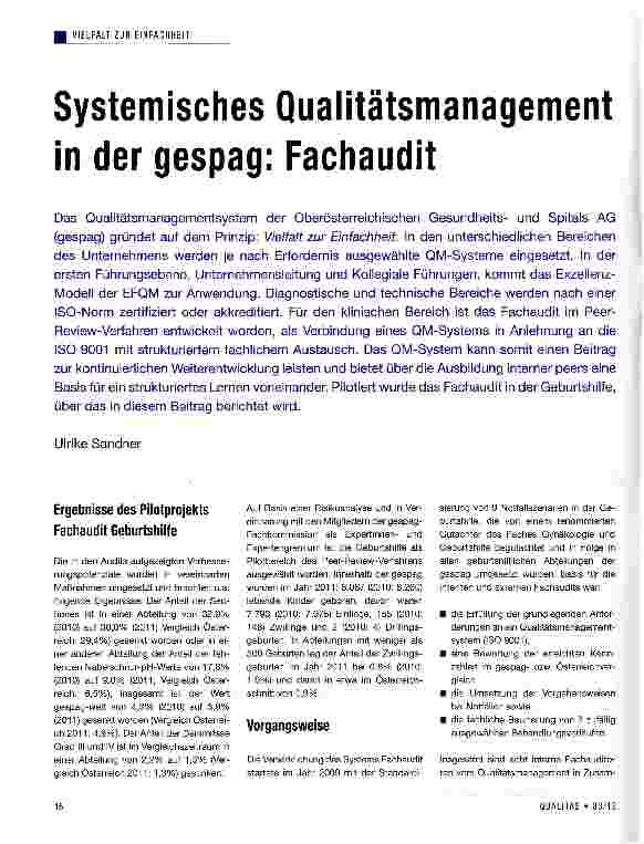 Vorschauseite 1: Systemisches Qualitätsmanagement in der gespag: Fachaudit