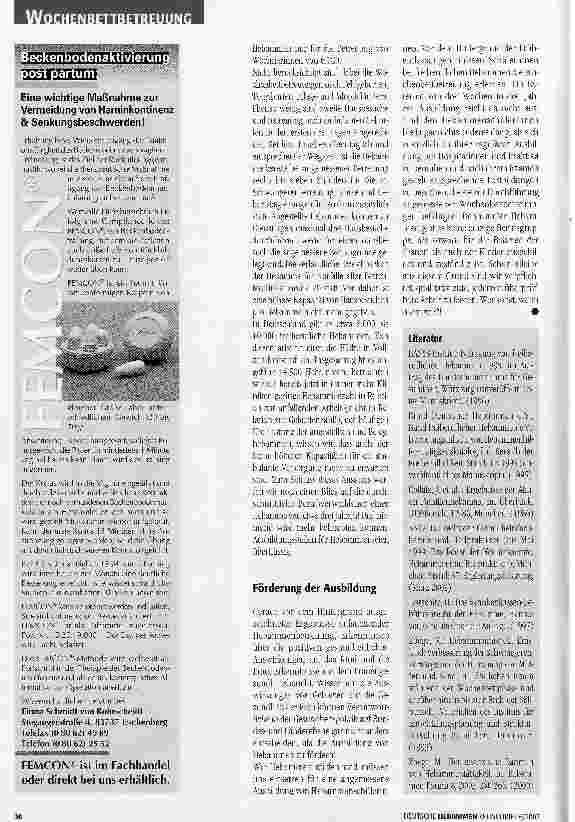 Vorschauseite 4: Hürden und Hemmnisse in der Wochenbettbetreuung