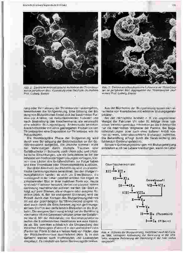 Vorschauseite 2: Physiologie des Blutgerinnungssystems