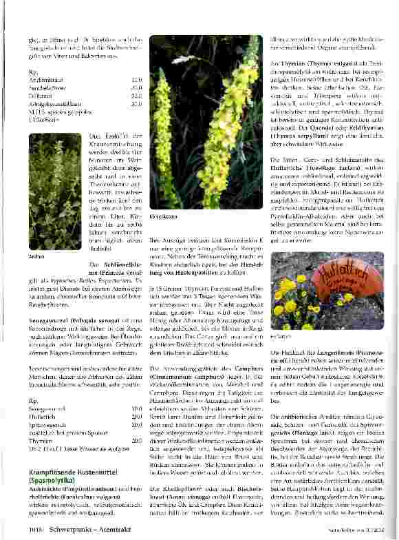 Vorschauseite 3: Husten