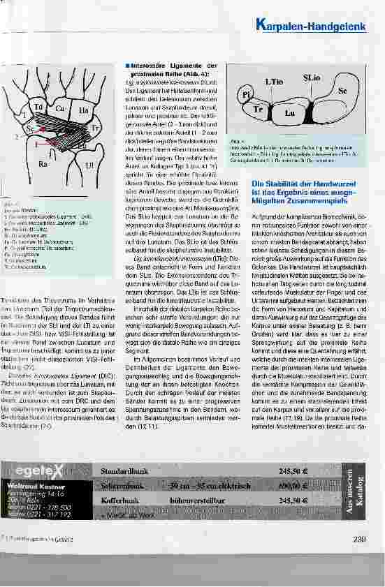 Vorschauseite 4: Diagnostik und Therapie der perilunären karpalen Instabilität