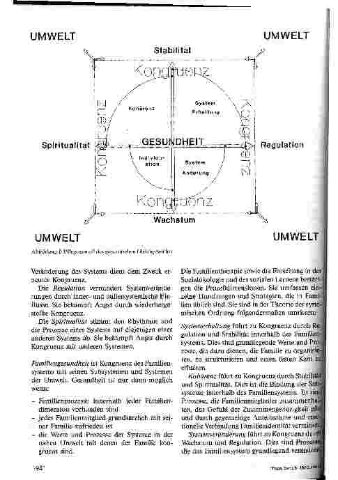 Vorschauseite 2: Das Pflegemodell des systemischen Gleichgewichts
