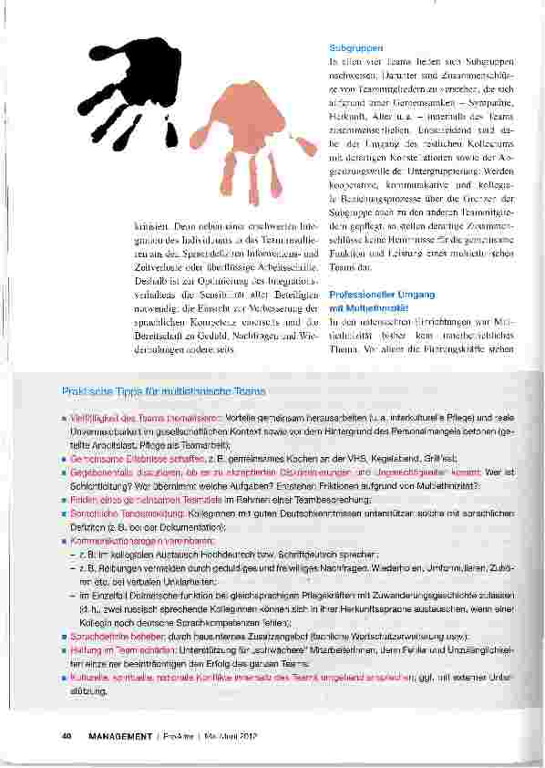 Vorschauseite 3: Chancen und Risiken multiethnischer Altenhilfeteams