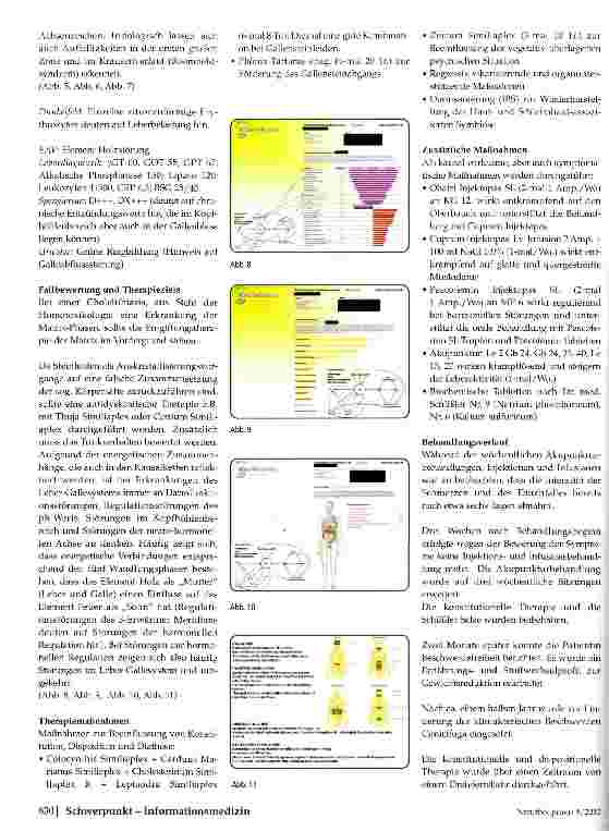 Vorschauseite 3: Technische Diagnosesysteme Hilfe im Praxisalltag einer Naturheilpraxis