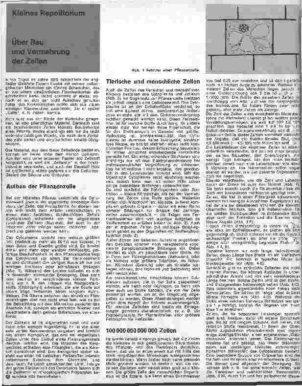 Vorschauseite 1: Kleines Repetitorium Über Bau und Vermehrung der Zellen