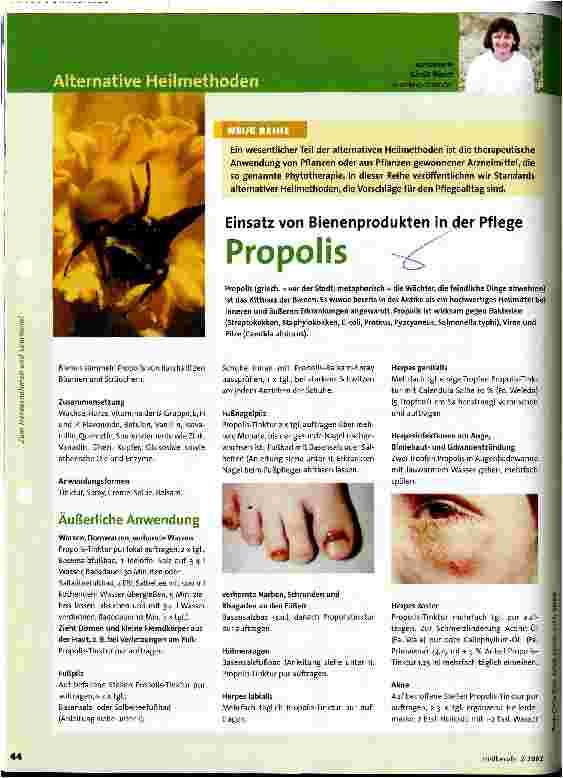Vorschauseite 1: Propolis Einsatz von Bienenprodukten in der Pflege