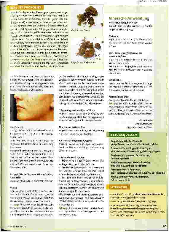 Vorschauseite 2: Propolis Einsatz von Bienenprodukten in der Pflege