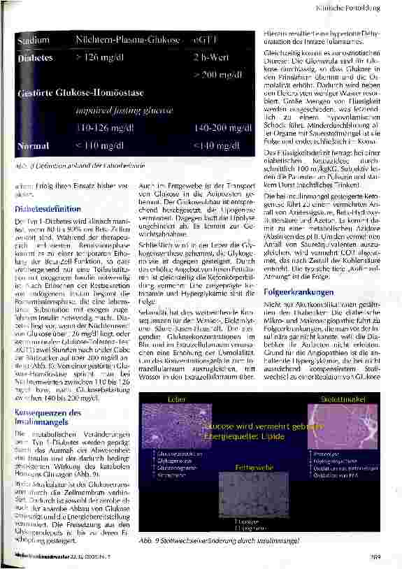 Vorschauseite 4: Pathophysiologie des Diabetes mellitus (Typ 1)