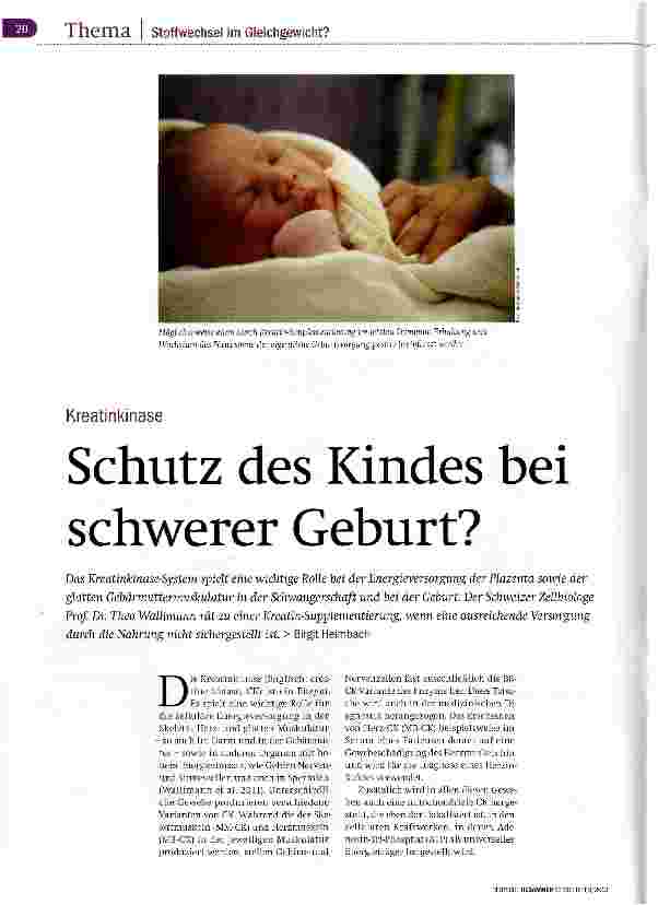 Vorschauseite 1: Schutz des Kindes bei schwerer Geburt?