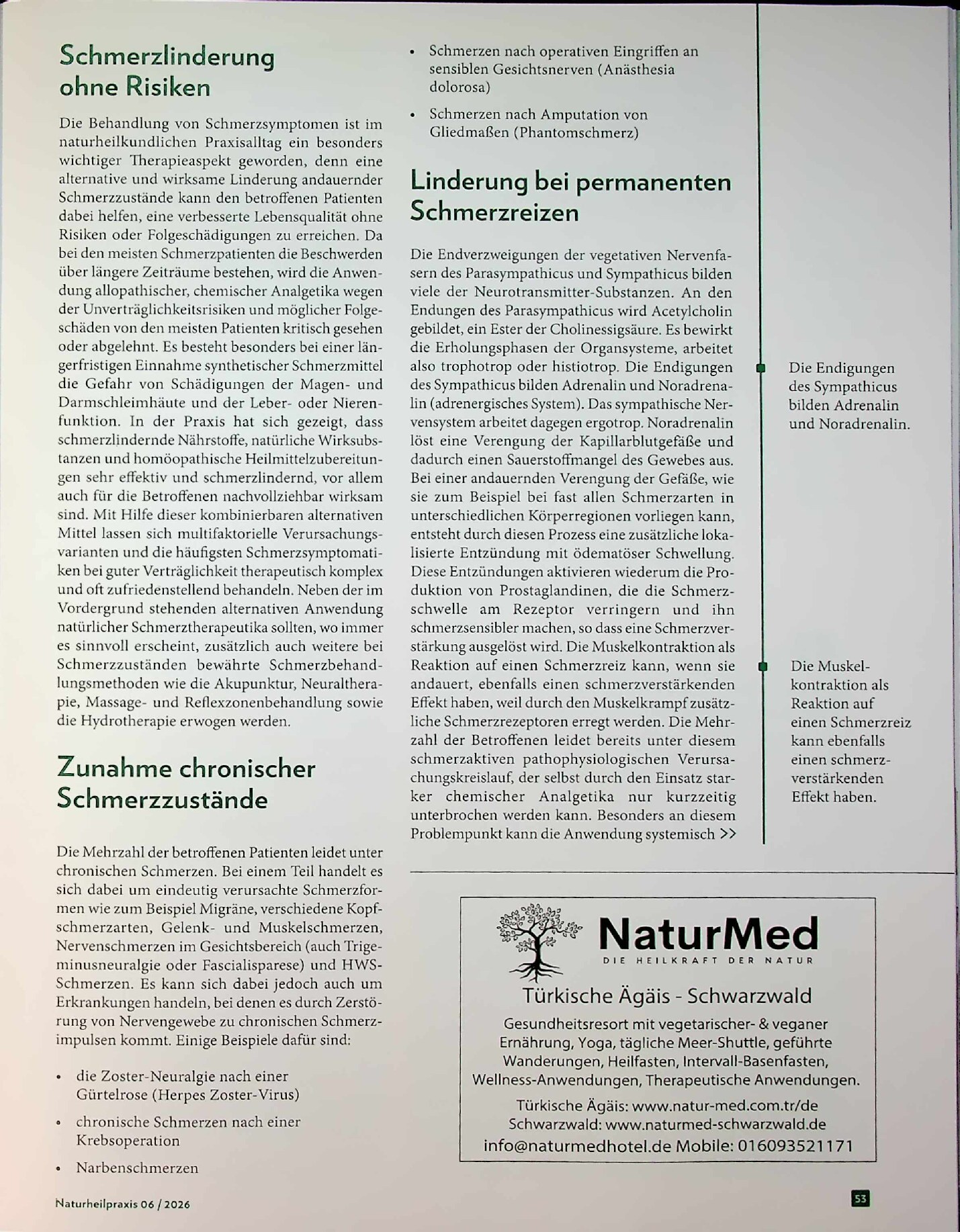 Vorschauseite 2: Die Natur übernimmt: Akute und chronische Schmerzzustände naturwirksam behandeln