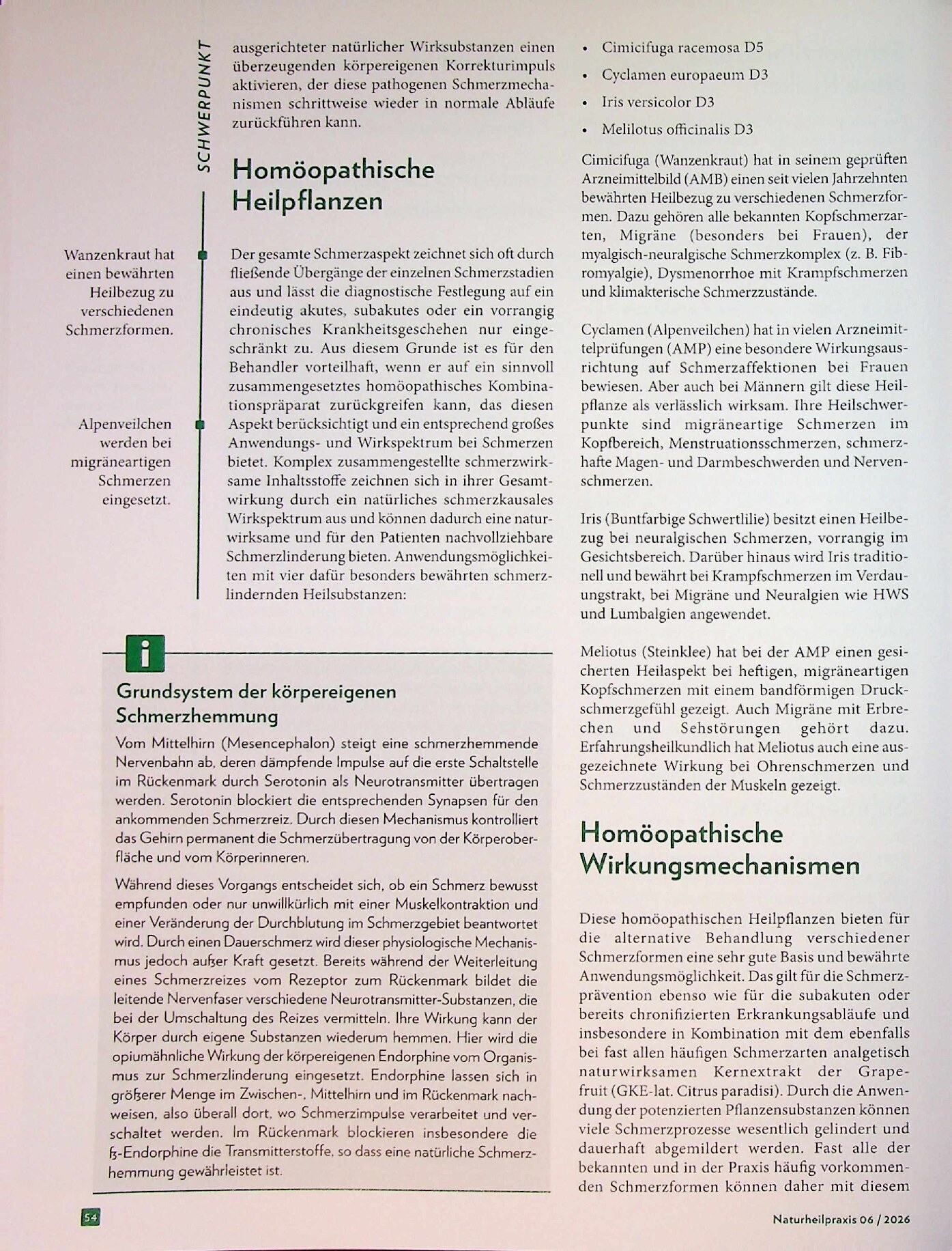 Vorschauseite 3: Die Natur übernimmt: Akute und chronische Schmerzzustände naturwirksam behandeln