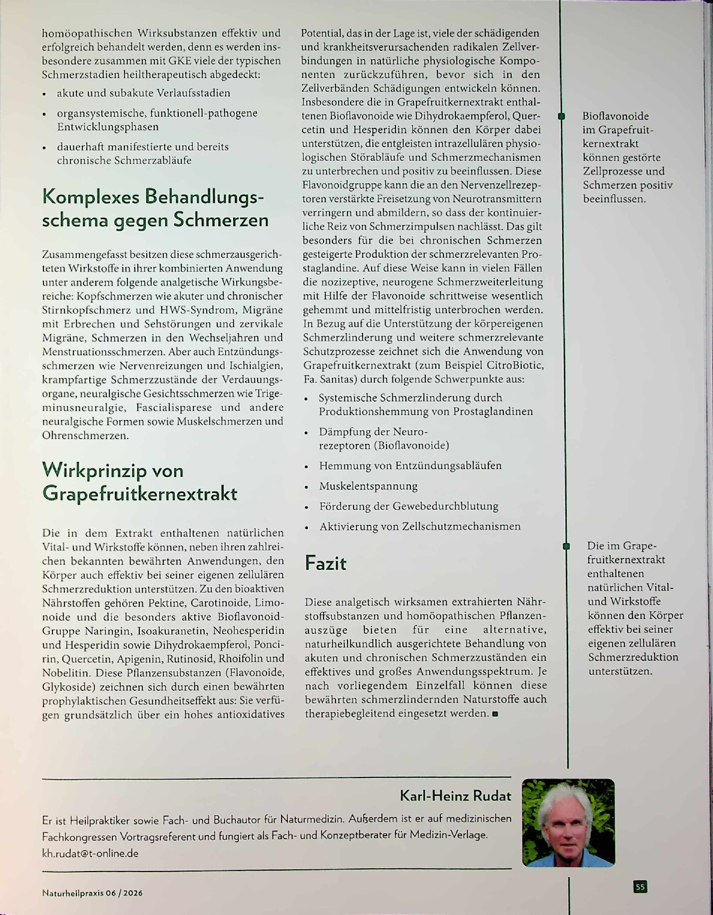 Vorschauseite 4: Die Natur übernimmt: Akute und chronische Schmerzzustände naturwirksam behandeln