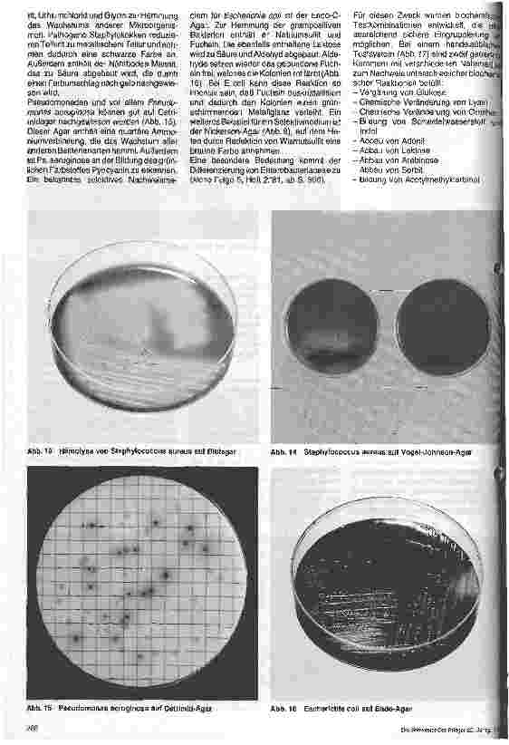 Vorschauseite 5: Grundlagen der Mikrobiologie Arbeitsmethoden der Mikrobiologie