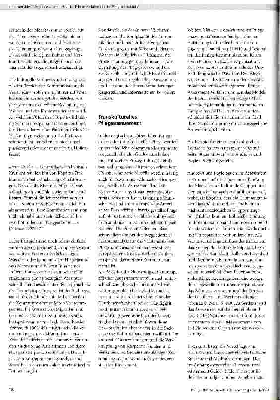 Vorschauseite 2: Kultursensibles Pflegeassessment - Standardisierte Verfahren in der Pflegeinteraktion?