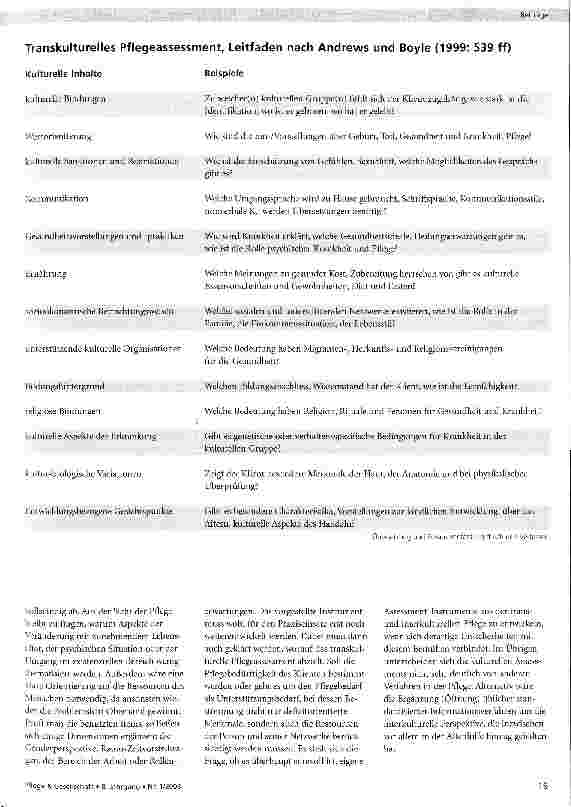 Vorschauseite 3: Kultursensibles Pflegeassessment - Standardisierte Verfahren in der Pflegeinteraktion?