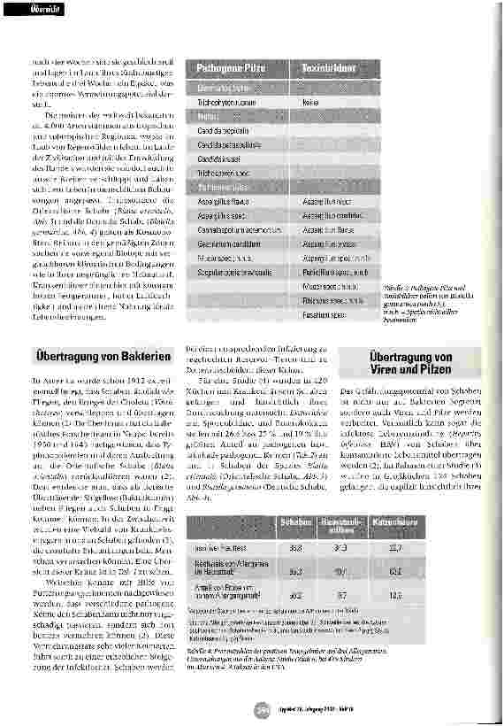 Vorschauseite 3: Schaben - Überträger gefährlicher Krankheiten