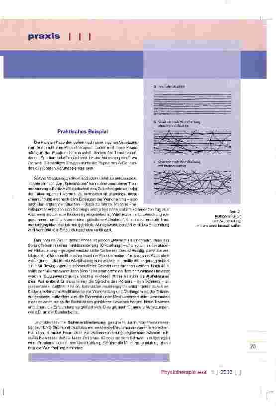 Vorschauseite 3: Wundheilungsphasen und ihre Bedeutung für die physiotherapeutische Behandlung