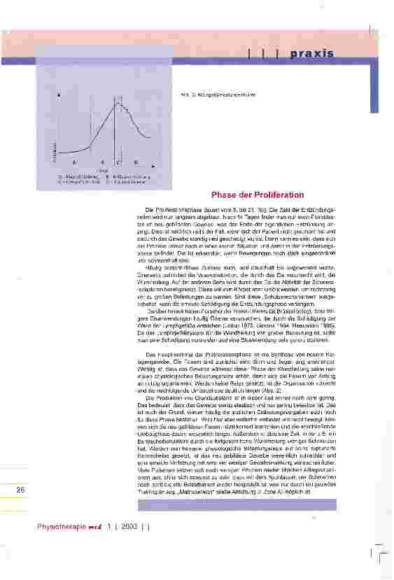 Vorschauseite 4: Wundheilungsphasen und ihre Bedeutung für die physiotherapeutische Behandlung