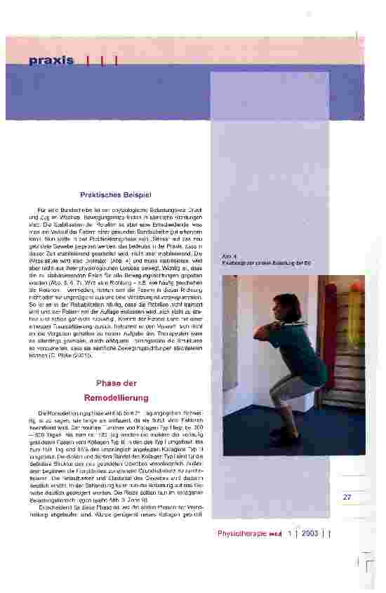 Vorschauseite 5: Wundheilungsphasen und ihre Bedeutung für die physiotherapeutische Behandlung