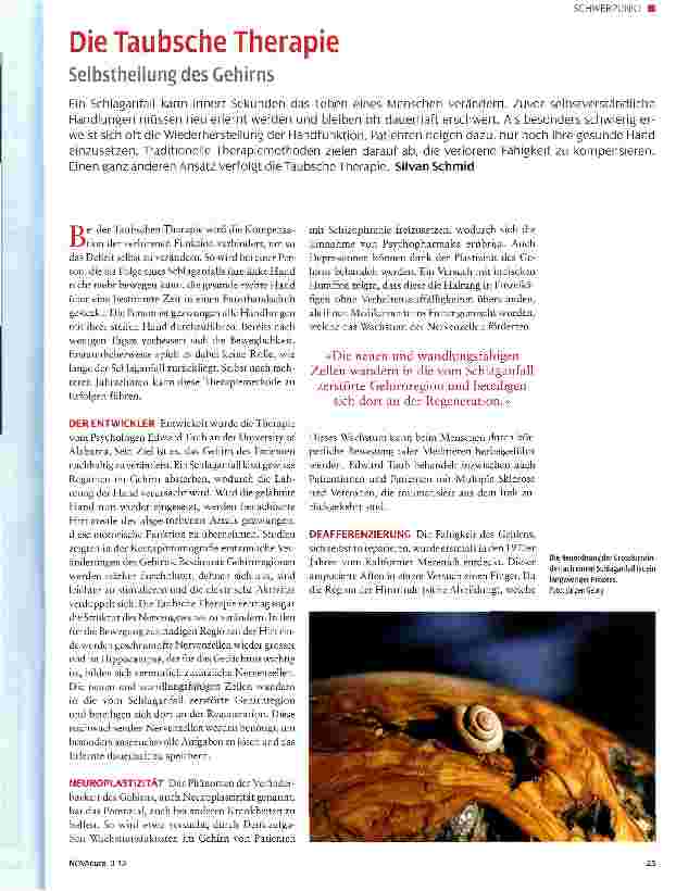 Vorschauseite 1: Die Taubsche Therapie