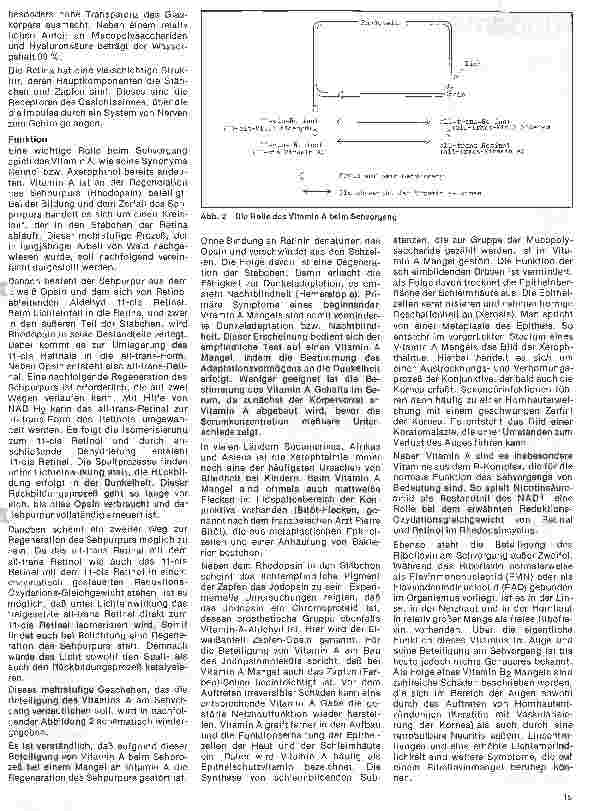 Vorschauseite 4: Einfluß der Ernährung auf Gesundheit und Leistungsfähigkeit 3. Folge: Nervensystem und Sehvermögen