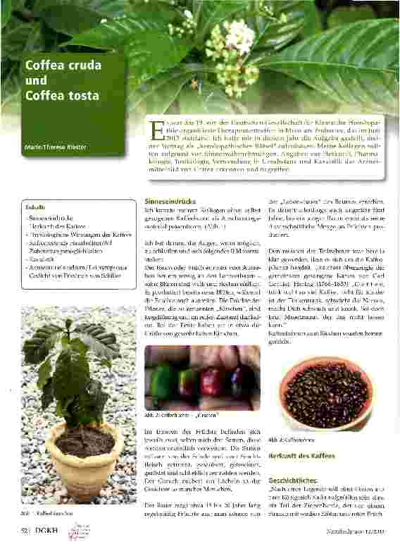 Vorschauseite 1: Coffea cruda und Coffea tosta