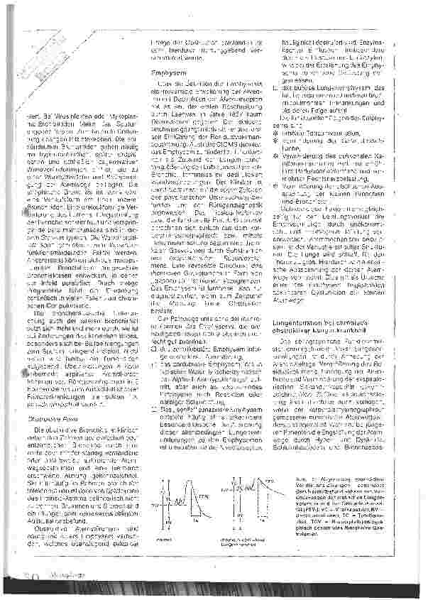 Vorschauseite 2: Die chronische Bronchitis und das Emphysem
