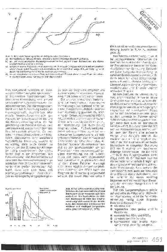 Vorschauseite 3: Die chronische Bronchitis und das Emphysem