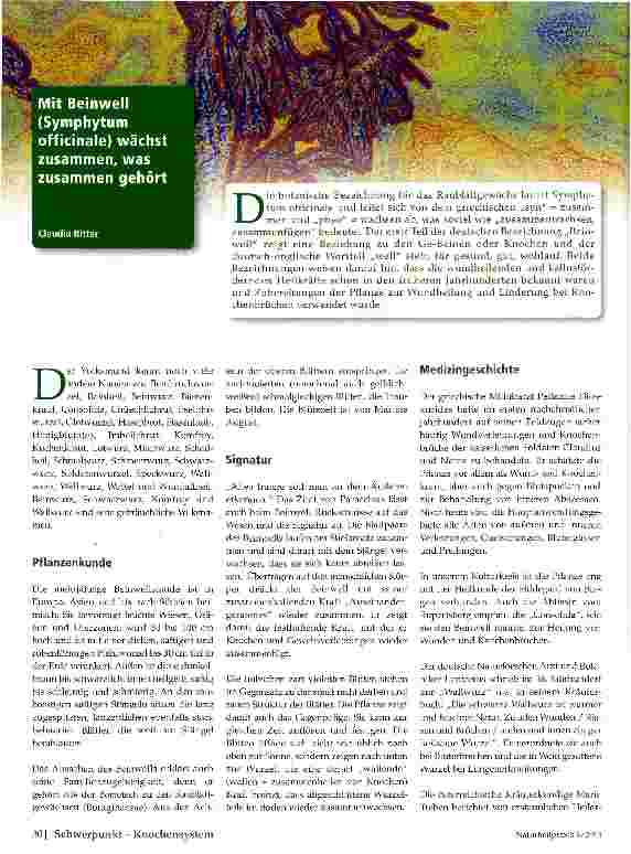 Vorschauseite 1: Mit Beinwell (Symphytum officinale) wächst zusammen, was zusammen gehört