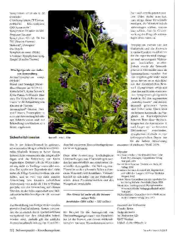 Vorschauseite 3: Mit Beinwell (Symphytum officinale) wächst zusammen, was zusammen gehört