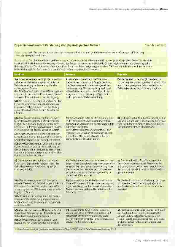 Vorschauseite 3: Expertinnenstandard »Förderung der physiologischen Geburt«