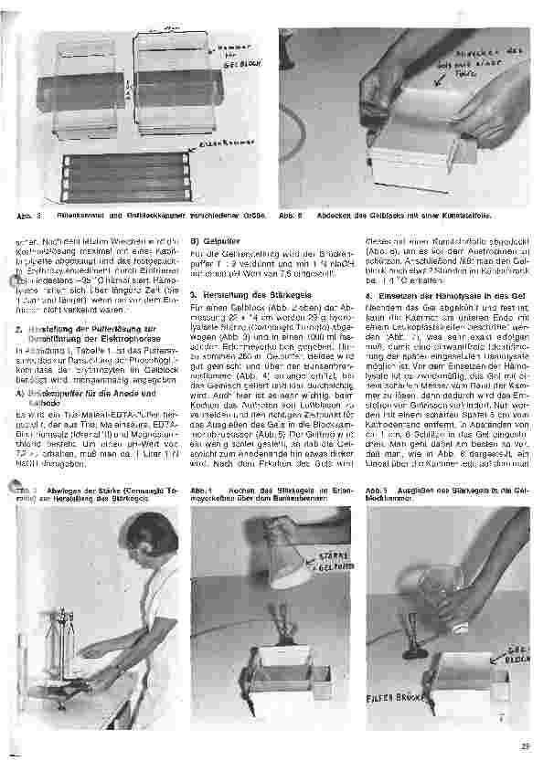 Vorschauseite 2: Transfusionskunde, Blutgruppenserologie und Immunhämatologie 24.Folge: Erbliche Blutmerkmale in den Erythrozyten