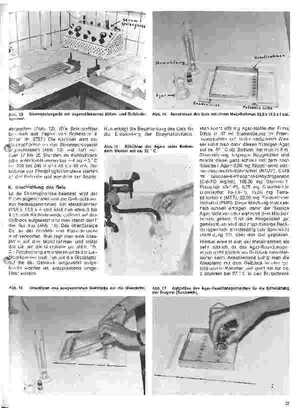 Vorschauseite 4: Transfusionskunde, Blutgruppenserologie und Immunhämatologie 24.Folge: Erbliche Blutmerkmale in den Erythrozyten