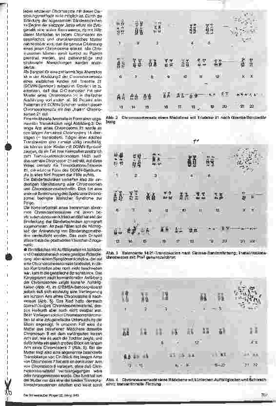 Vorschauseite 2: Chromosomendiagnostik