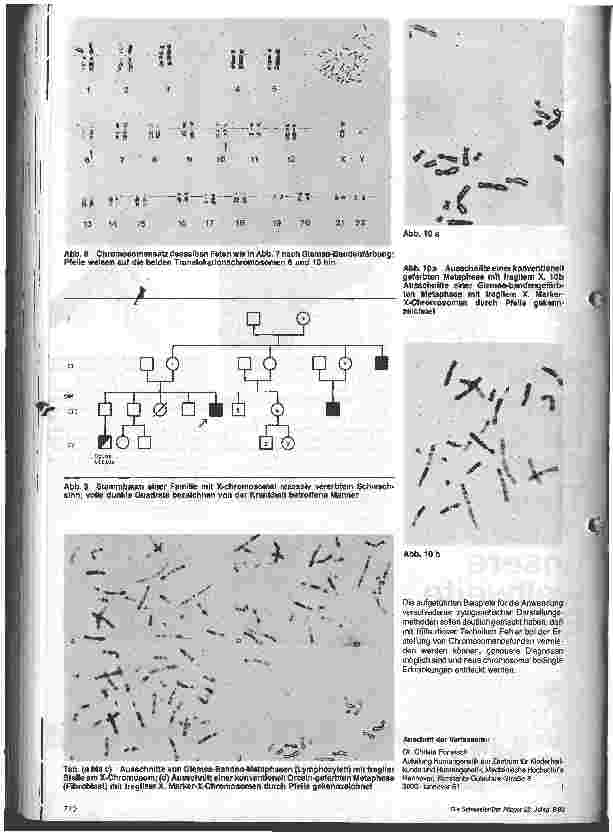 Vorschauseite 4: Chromosomendiagnostik