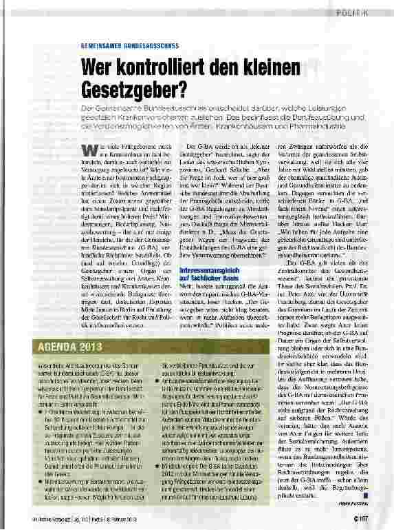Vorschauseite 1: Wer kontrolliert den kleinen Gesetzgeber?